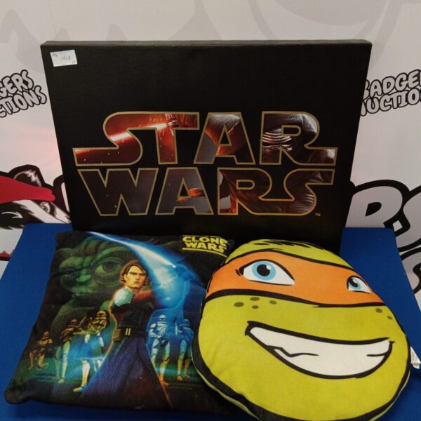 Star Wars cushion lot featuring canvas print and turtle design.