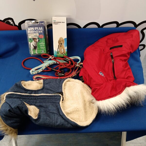 Mixed lot of dog accessories including coats and grooming tools.
