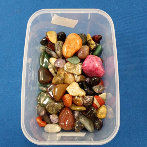 Mixed lot of tumbled semi-precious stones in a plastic tray.