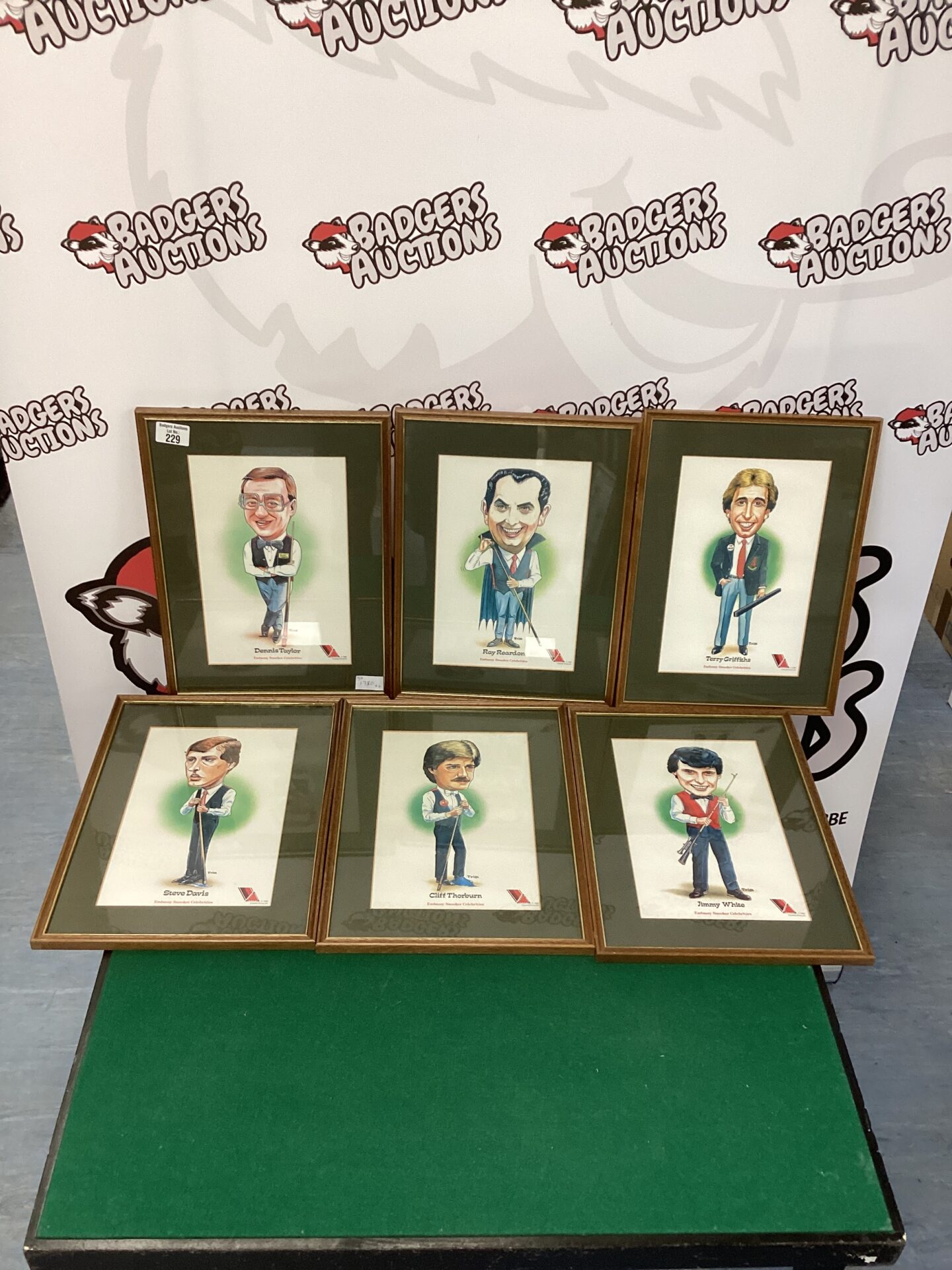 229 Set of Framed Famous Snooker Players
