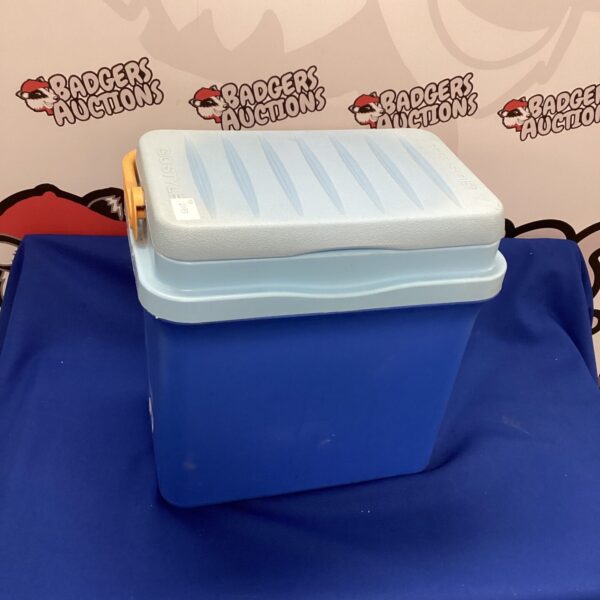 Vintage Giostyle cool box for picnics and outdoor use.