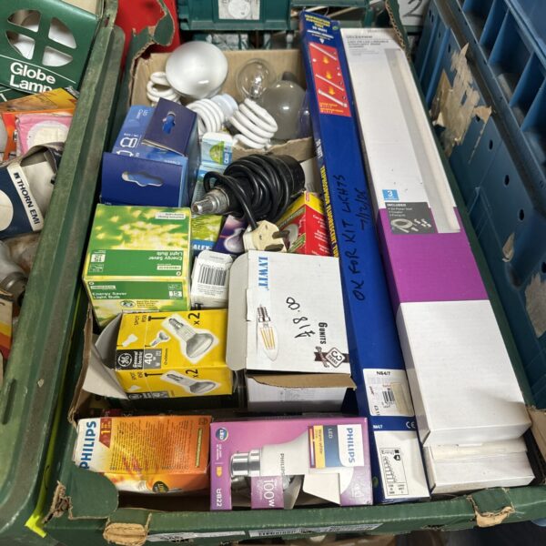 Mixed lot of light bulbs from Philips and Thorn brands.