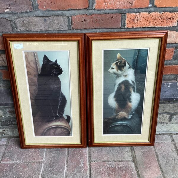 Vintage framed print of a black cat, classic animal art.