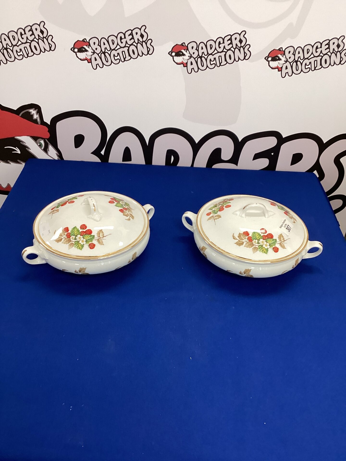 307 Two Canterbury Fine China Terrines