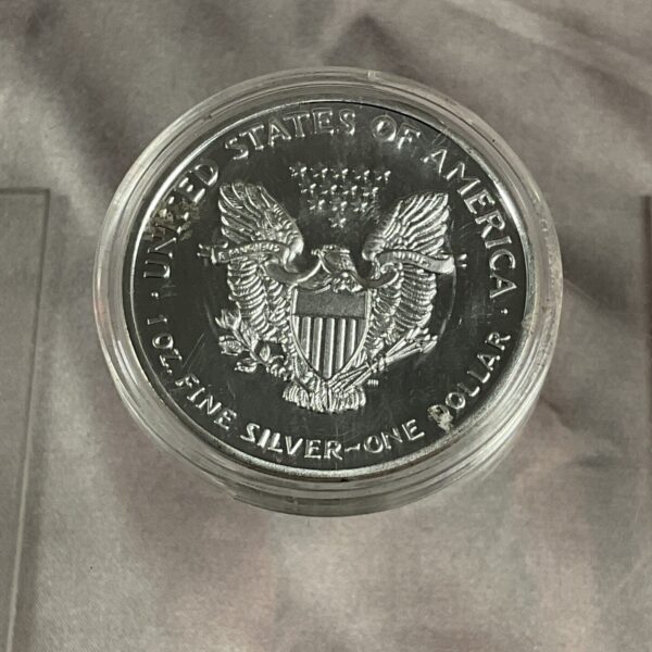 American Silver Eagle coin obverse with Liberty design.