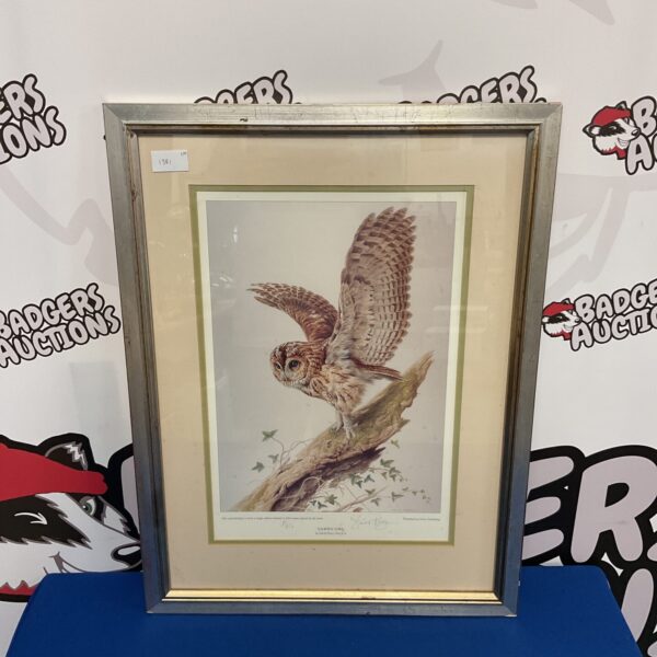 Limited edition David Parry Tawny Owl print, wildlife art.