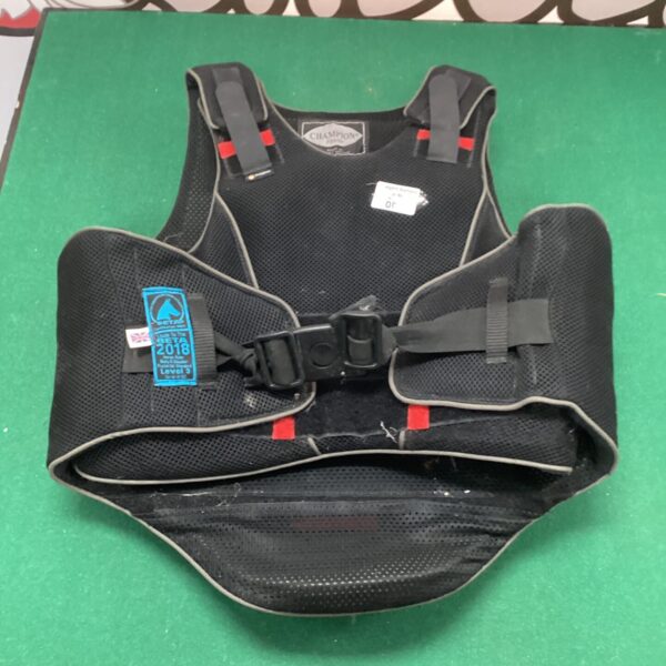 Small adult Champion horse riding body protector for equestrian safety.