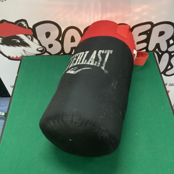 Child's Everlast punch bag for boxing training and fitness.