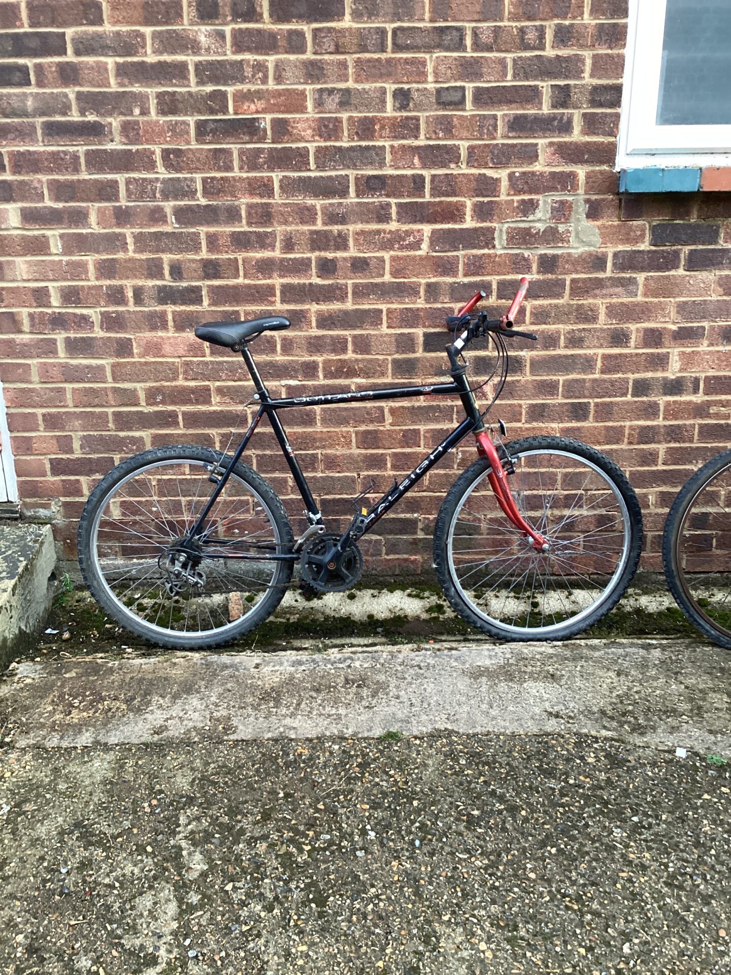 1152 Raleigh mountain bike