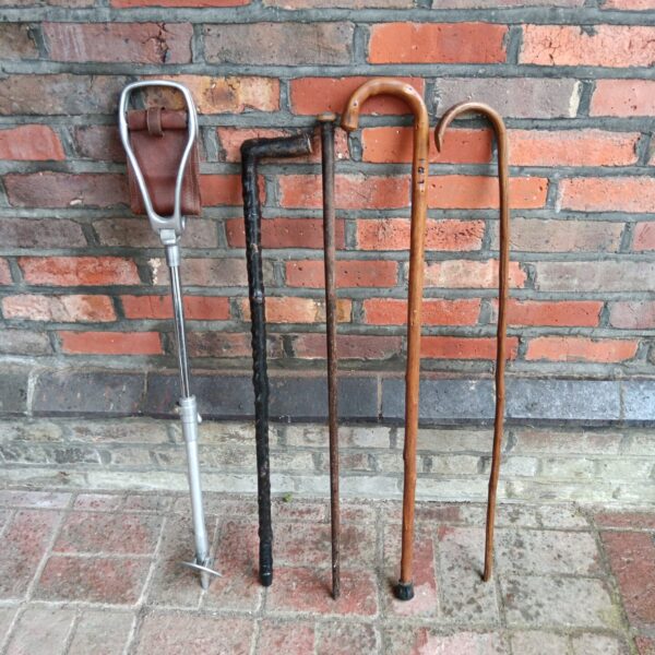 Vintage bundle of walking sticks and a shooting stick for collectors.