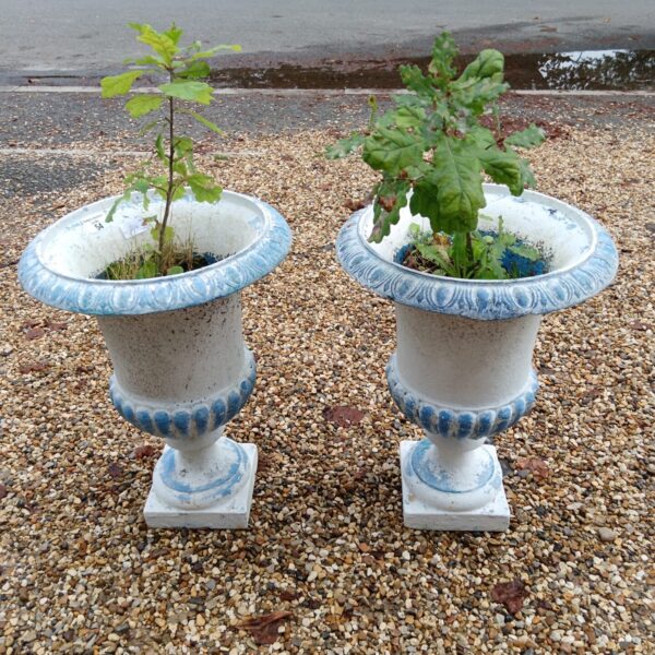 Pair of vintage cast iron urn planters with young oak tree saplings in a garden setting.