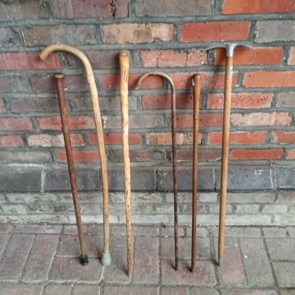 Bundle of vintage wooden walking sticks and antique canes.