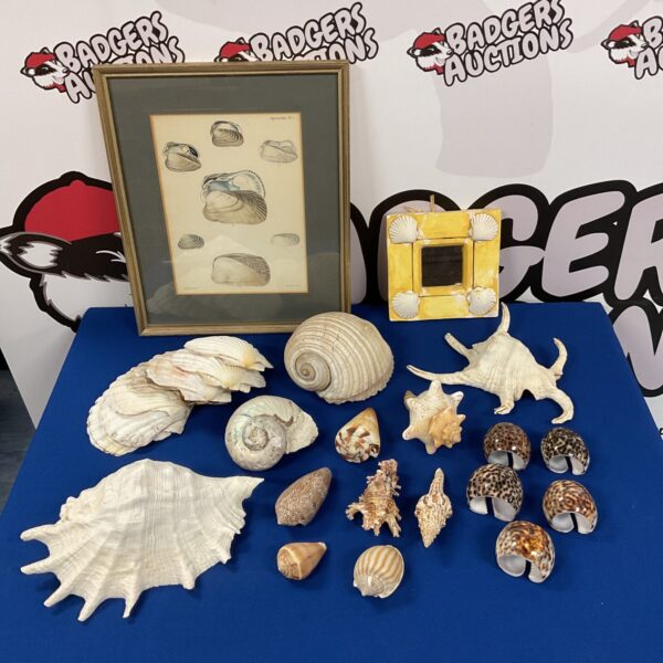 Vintage shell collection with botanical print and napkin rings.