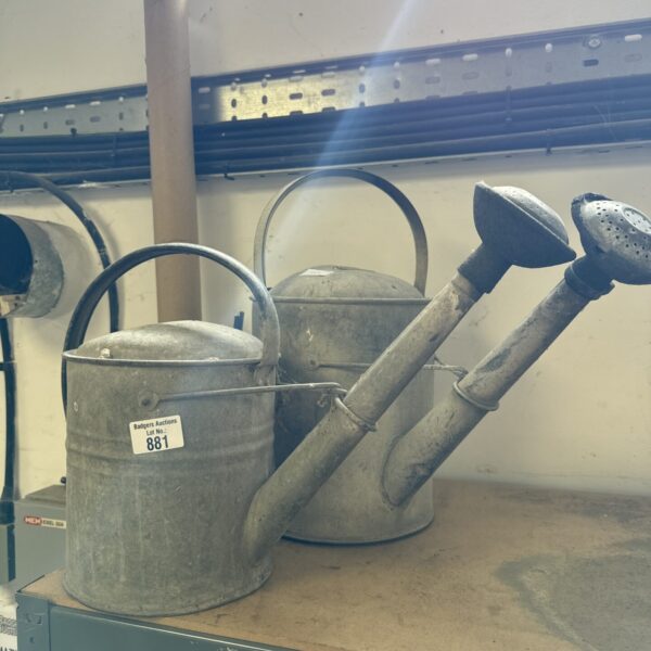 Vintage galvanised watering can with rose head for garden use.