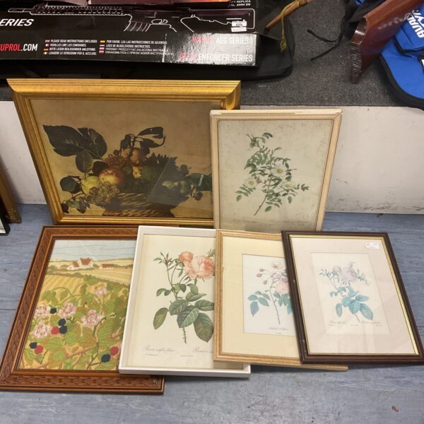 Vintage collection of botanical still life prints for wall decor.