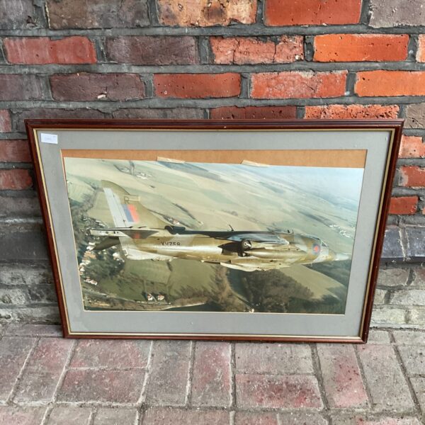 Large framed photograph of a Harrier jet in flight.