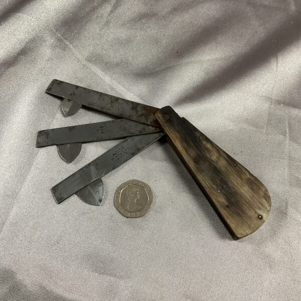 Antique fleams with horn handle and three blades by D. Milltr & Son.