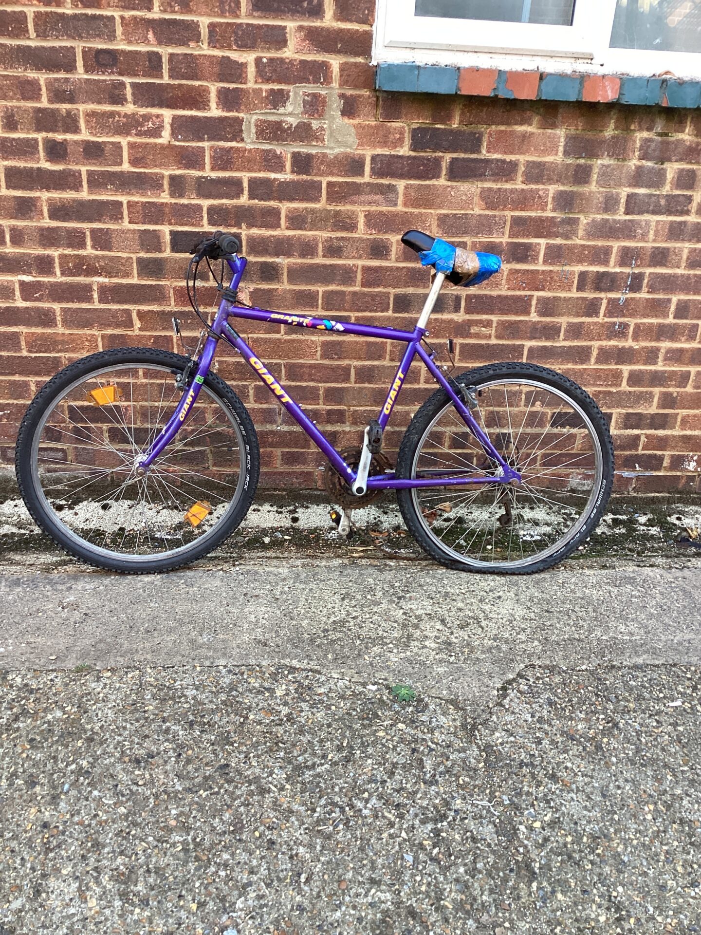 1130 Giant Granite Bike