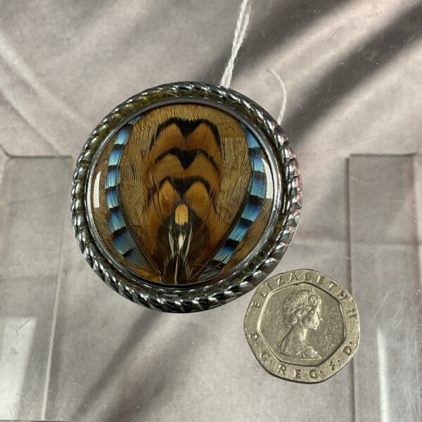 Antique game bird feather brooch with natural feather detail.