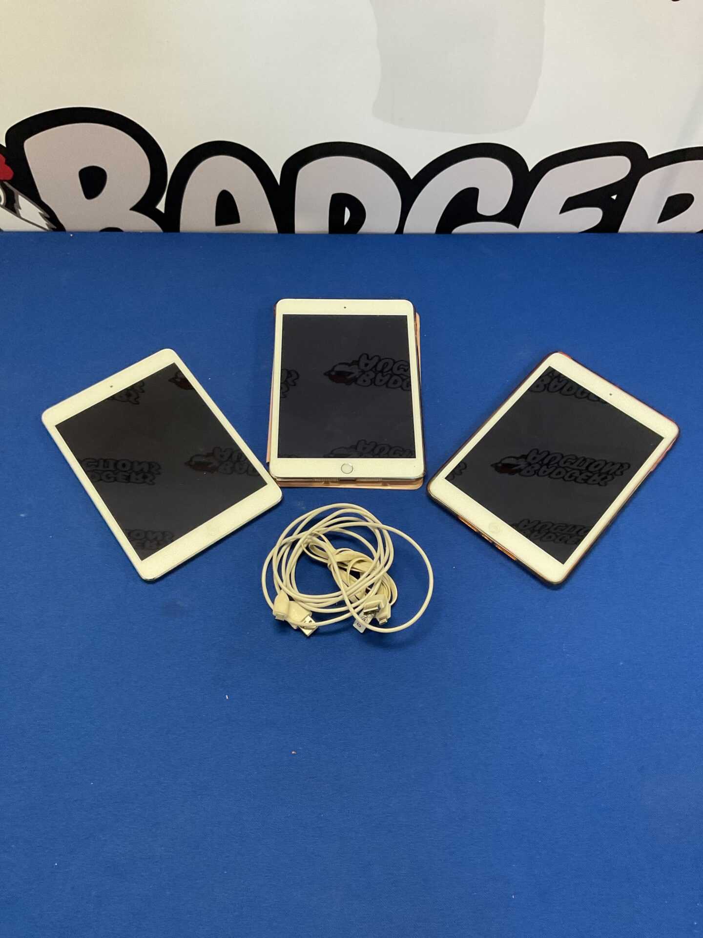 178 Three apple iPad minis (2 factory reset/working)