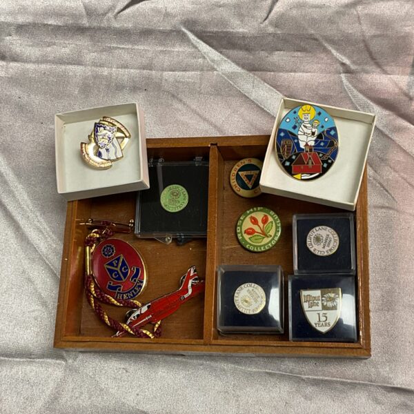 Collection of Lilliput Lane and Masonic enamel pin badges.
