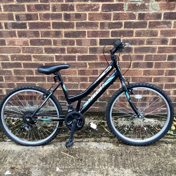 Neon Diva childs mountain bike in good used condition.