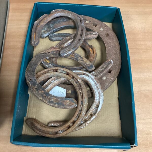Vintage lot of used horse shoes for collectors.