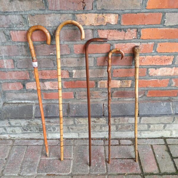 Group of five vintage walking sticks, antique canes, collectible items.