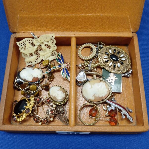 Vintage cameo jewellery lot with brooches and pins inside a box.