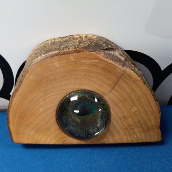 Vibrant peacock feather eye displayed in polished wood.
