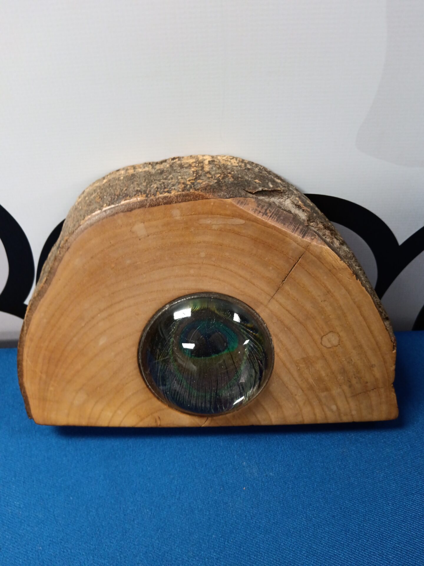 233 peacock eye feather in wood