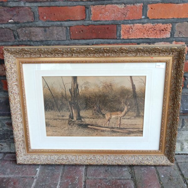 Framed Craig Bone impala print depicting a savanna scene.