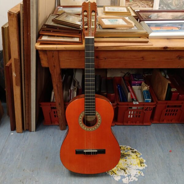 Vintage Hondo h308a acoustic guitar in natural finish.