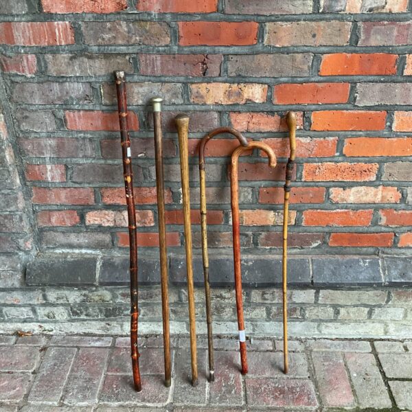 Vintage collection of six antique walking canes displayed indoors.