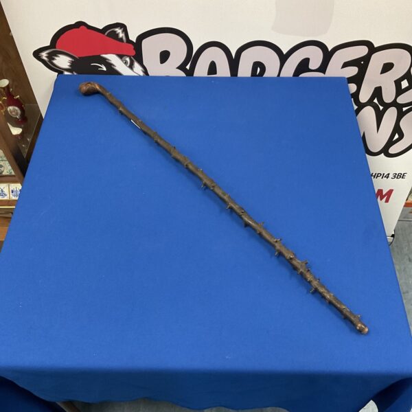 Antique blackthorn walking cane with a natural wood handle.