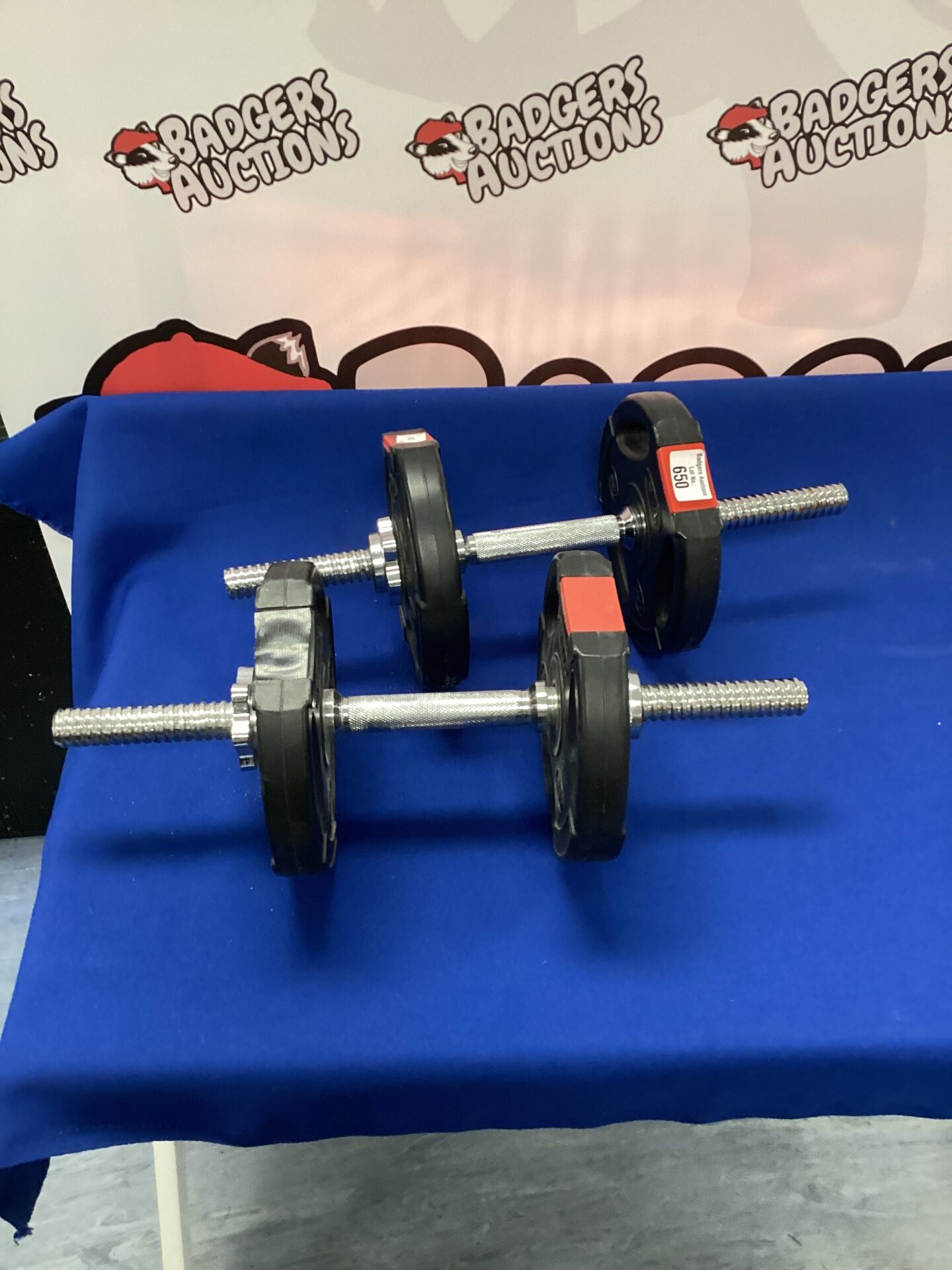 650 Pair of dumbbells 125kg weights