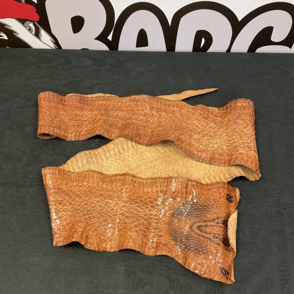Close-up of a natural snake skin roll with detailed scales.