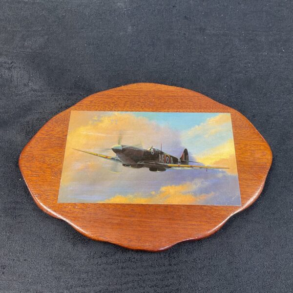 Detailed Spitfire Mark IX wall plaque by Barry Price.