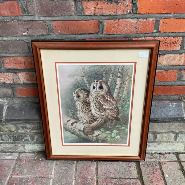 Framed Raymond Watson print of a pair of tawny owls perched on a branch.