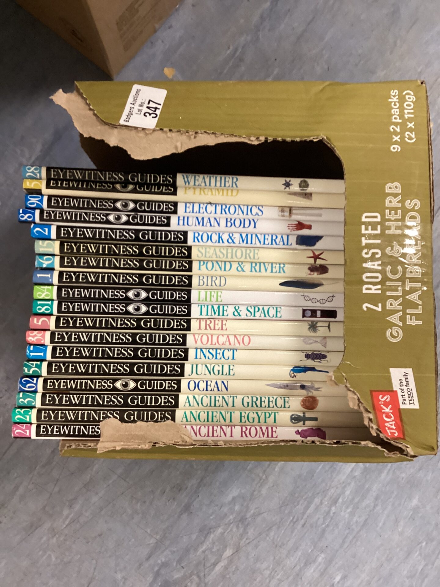 347 Set of eyewitness Guides