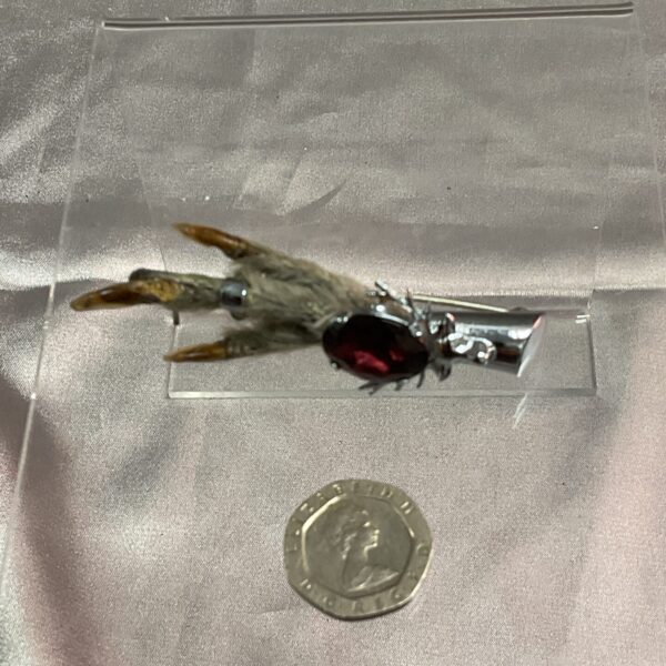 Antique grouse claw brooch with amethyst stone, Victorian jewellery.