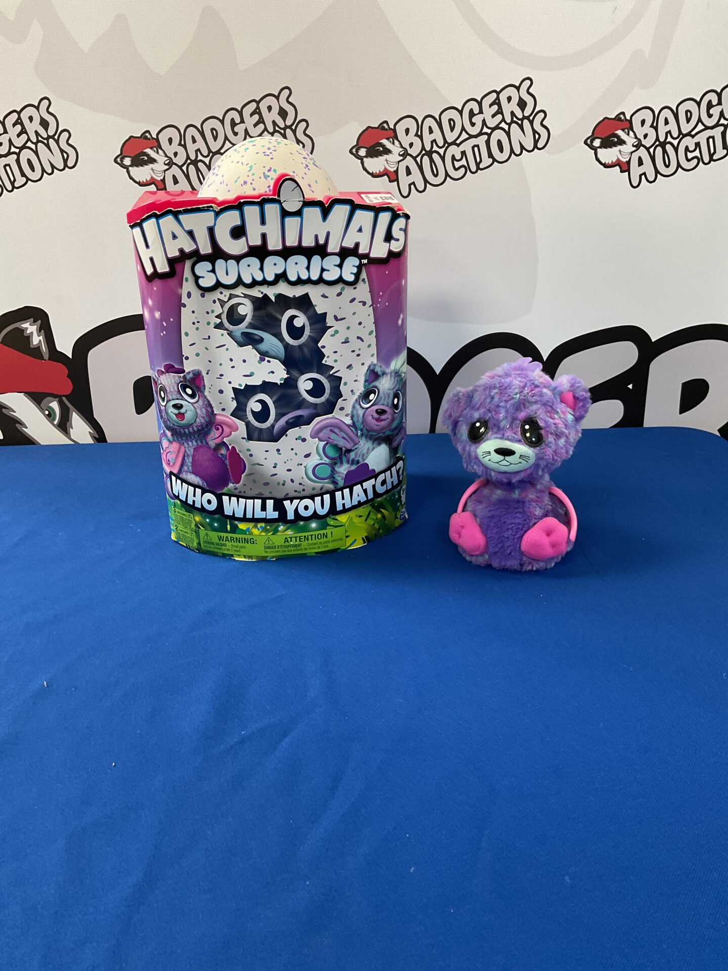 368 Hatchimals suprise box and hatchimal unboxed