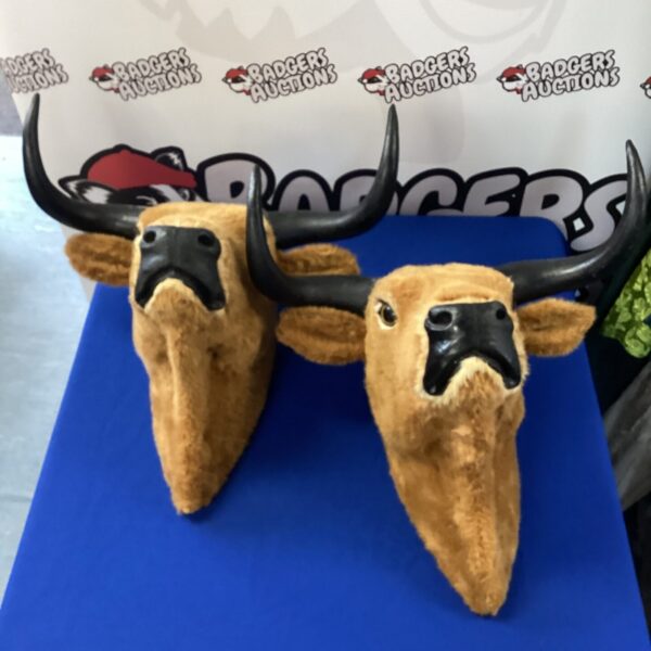 Pair of decorative bull heads for rustic wall decor.