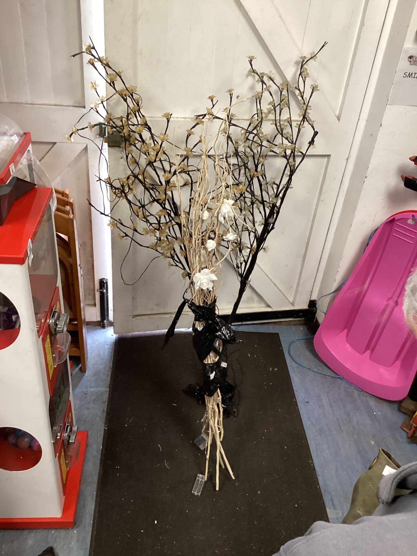 626 Two shop window display light up plants