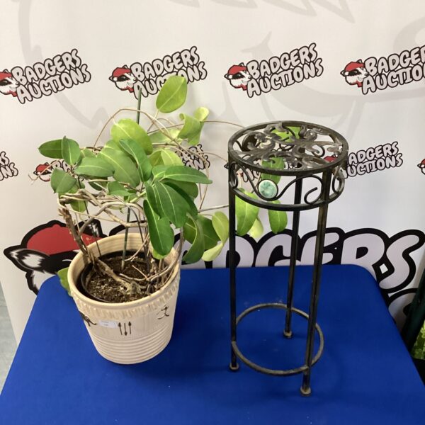 Three-tiered metal plant stand with potted plant.