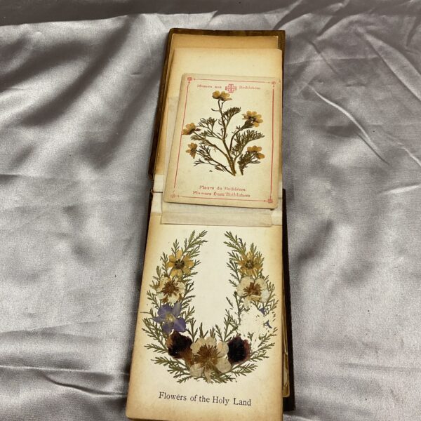 Vintage album of pressed flowers from the Holy Land, Bethlehem.