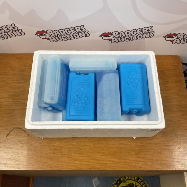 Close-up of a tray filled with reusable ice packs for cooling.