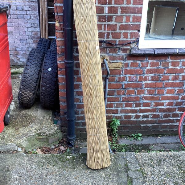 Natural reed screening roll in a garden setting.