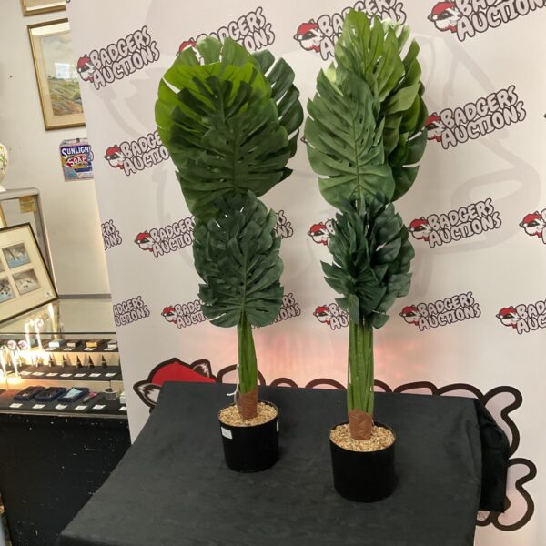 Two plastic tropical indoor plants for home decor.