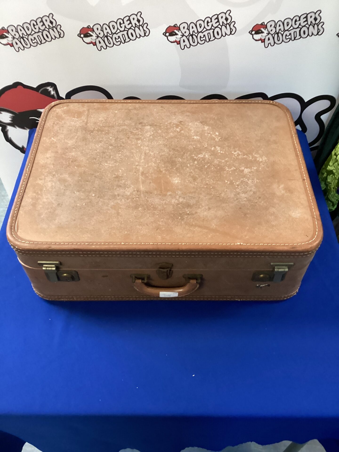 538 Vintage skyway suitcase